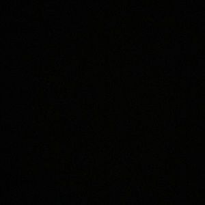 Meet your Posher, Pedro